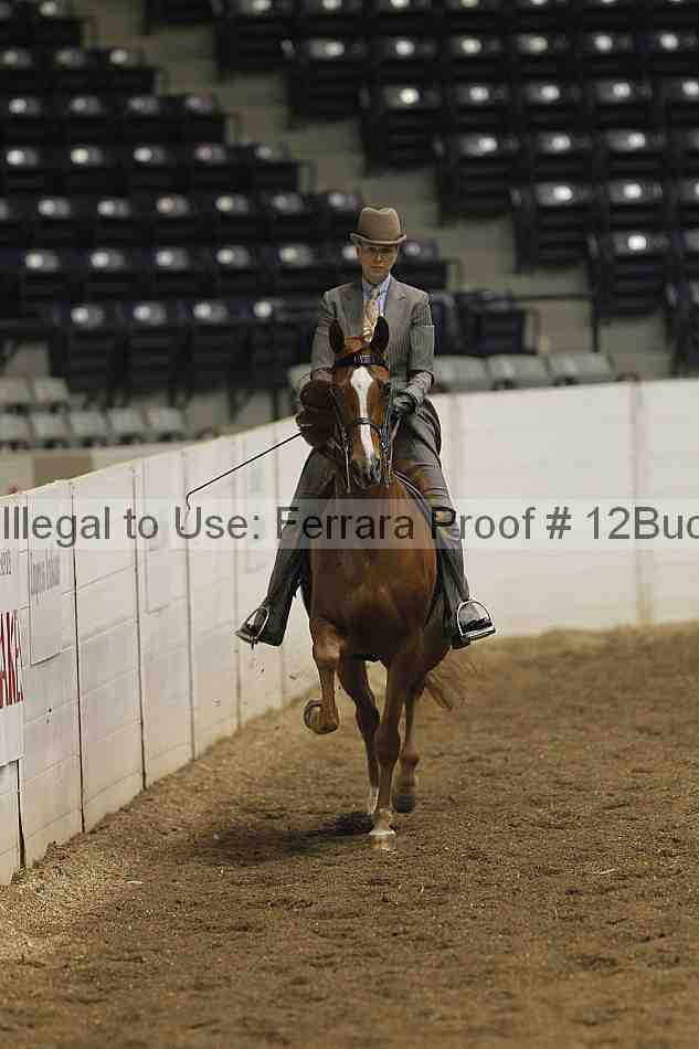 Proof 12buck_0252