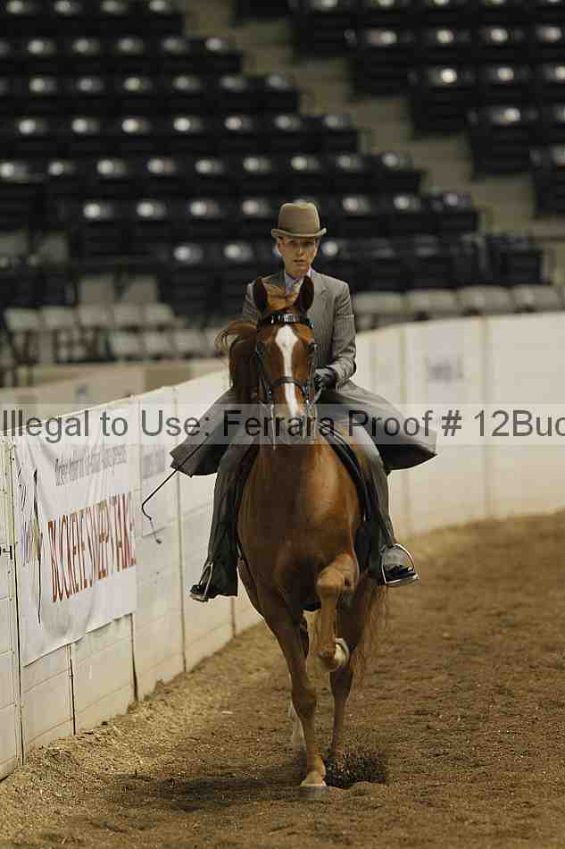 Proof 12buck_0253