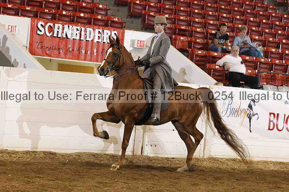 Proof 12buck_0254