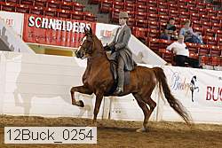 12buck_0254 proof