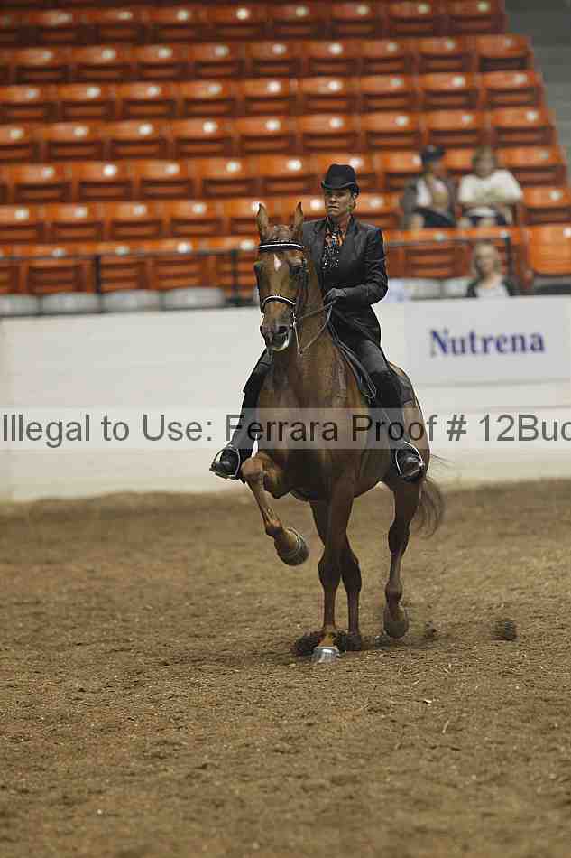 Proof 12buck_0255