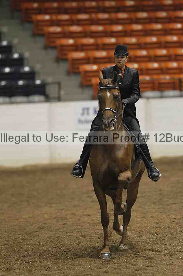 Proof 12buck_0256