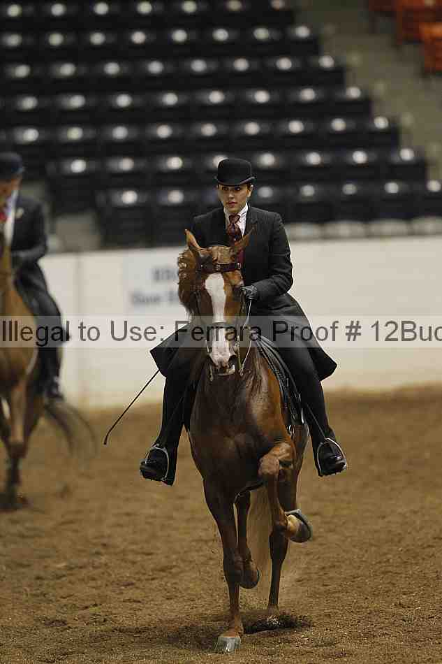 Proof 12buck_0257