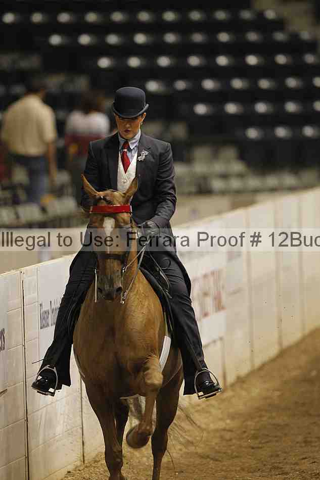Proof 12buck_0258