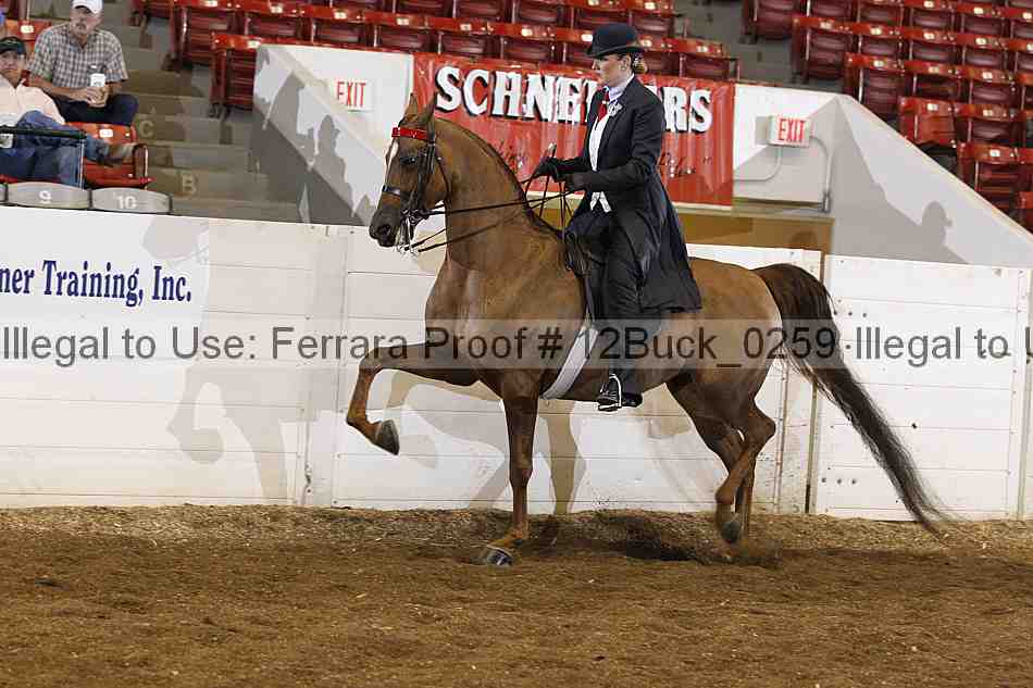 Proof 12buck_0259