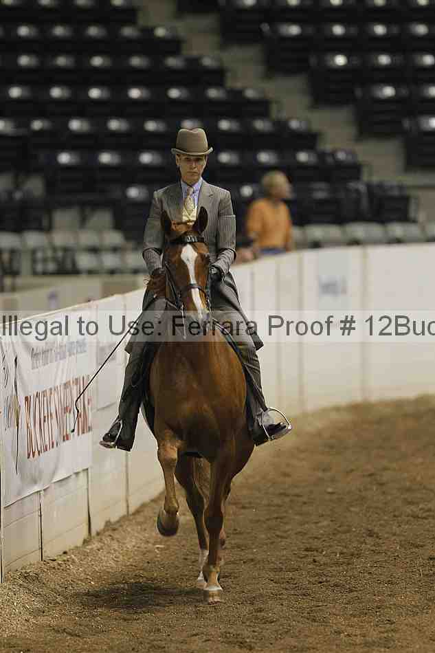 Proof 12buck_0260