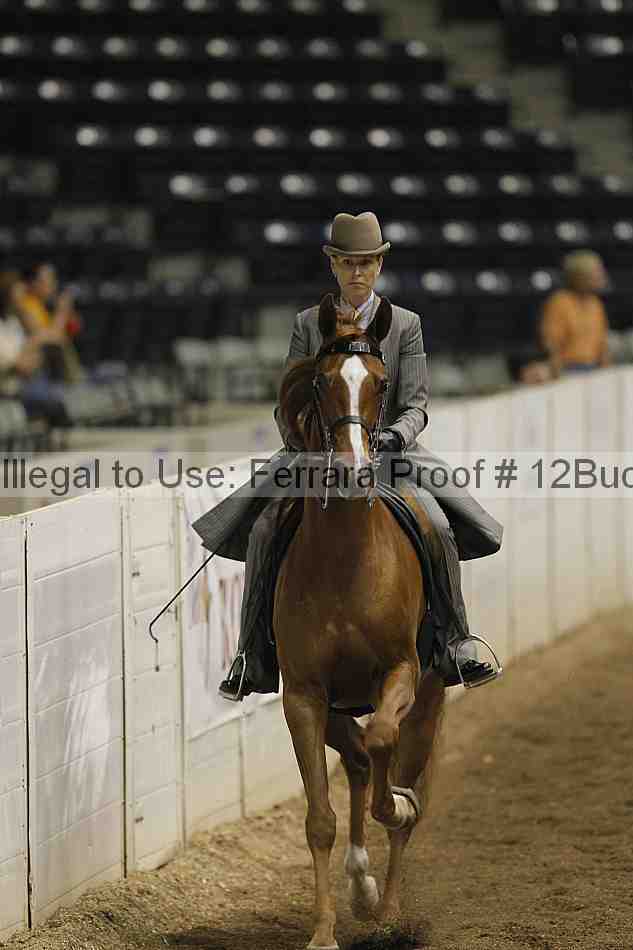 Proof 12buck_0261