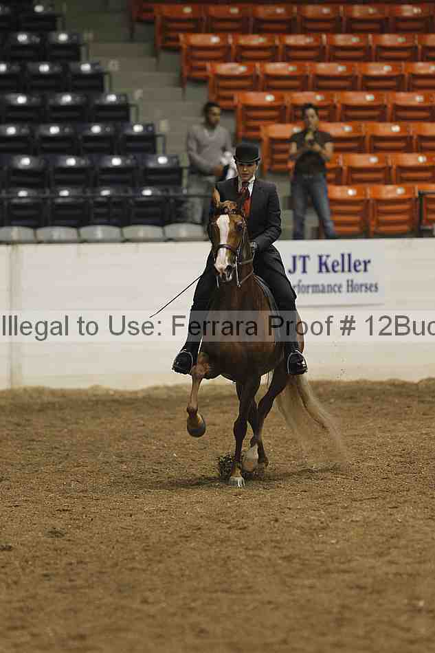 Proof 12buck_0262