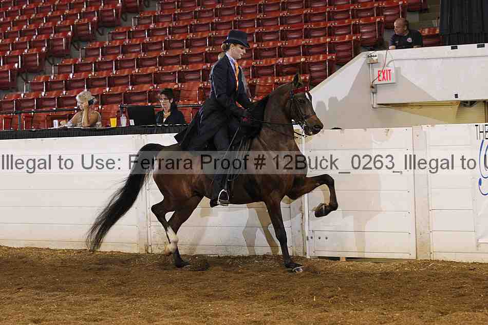Proof 12buck_0263
