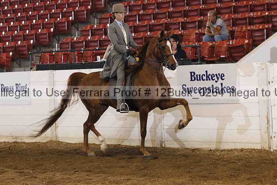 Proof 12buck_0264