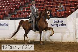 12buck_0264 proof