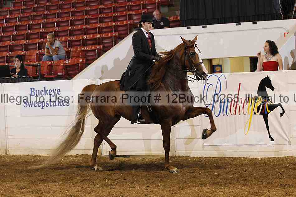Proof 12buck_0265