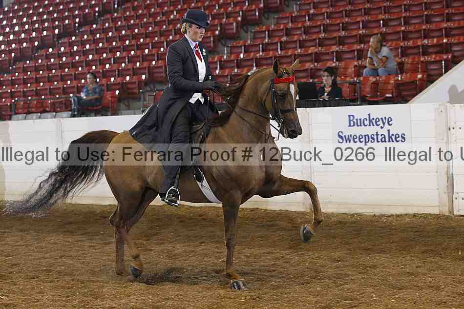 Proof 12buck_0266