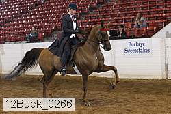12buck_0266 proof