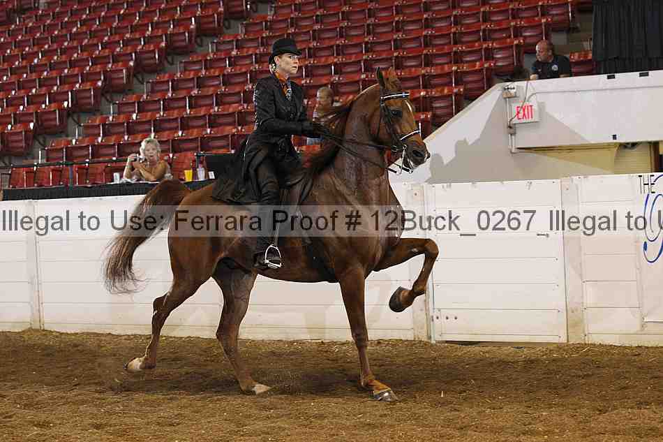 Proof 12buck_0267