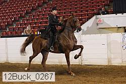 12buck_0267 proof