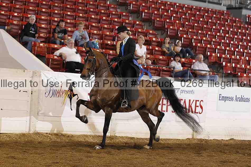 Proof 12buck_0268