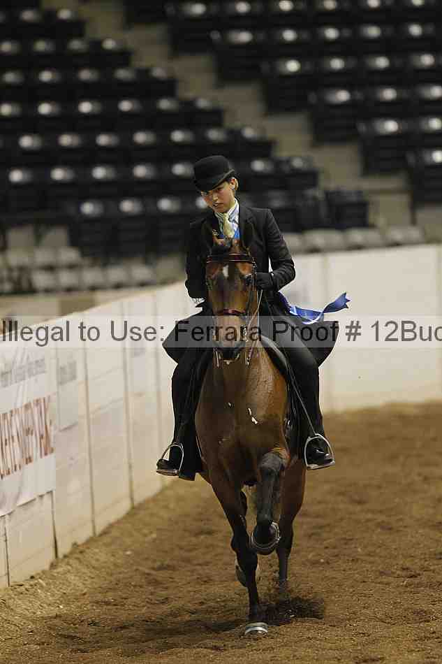 Proof 12buck_0270