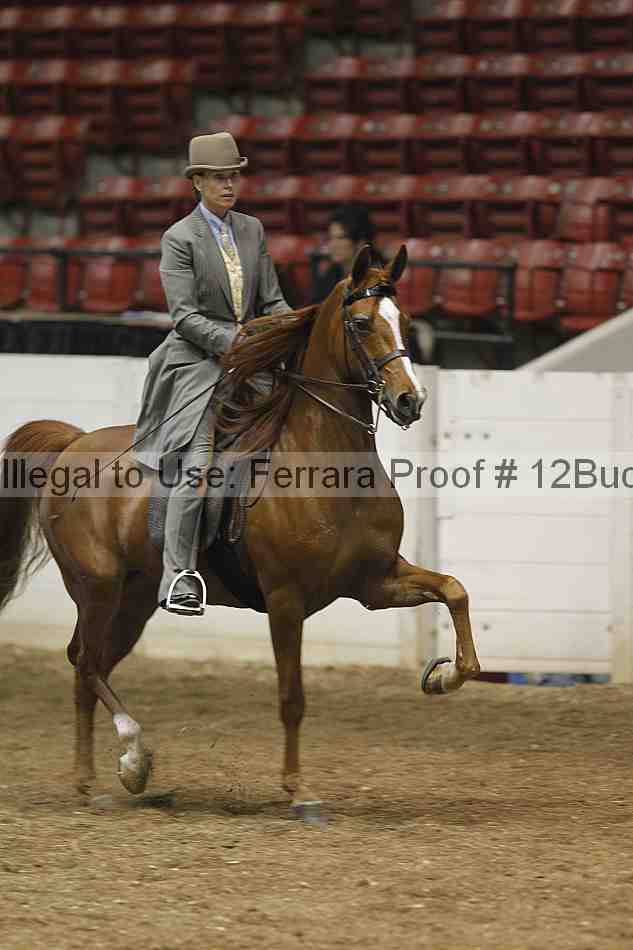 Proof 12buck_0272
