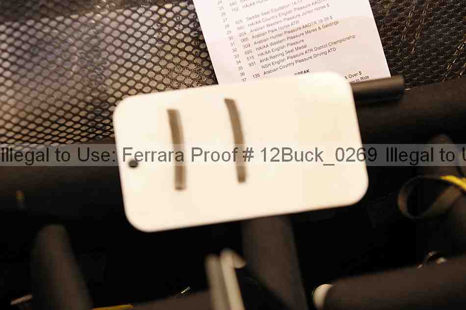 Proof 12buck_0269