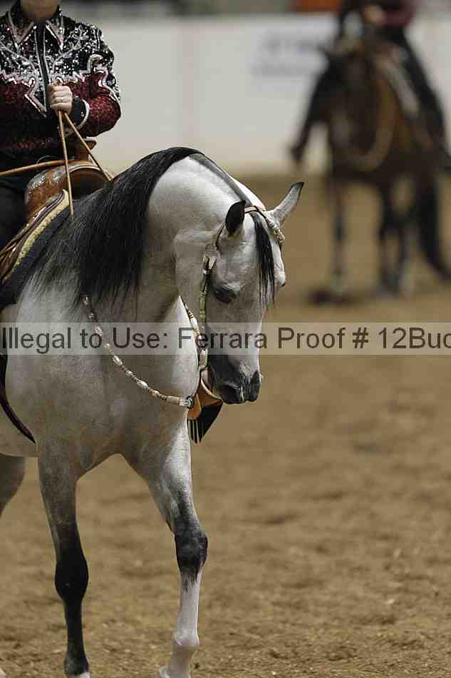 Proof 12buck_0275