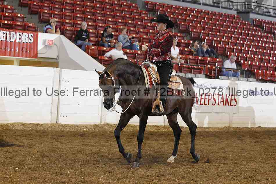 Proof 12buck_0278