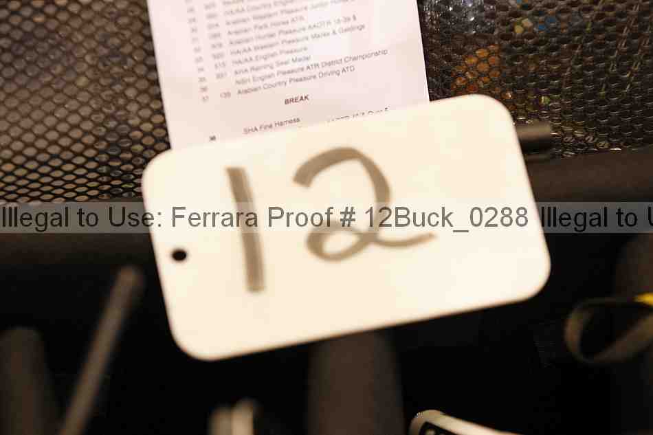 Proof 12buck_0288