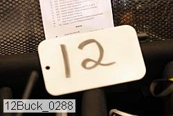 12buck_0288 proof