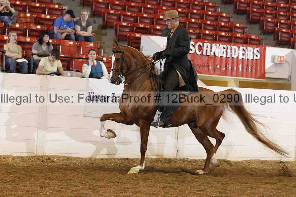 Proof 12buck_0290