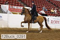 12buck_0291 proof