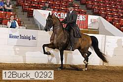 12buck_0292 proof