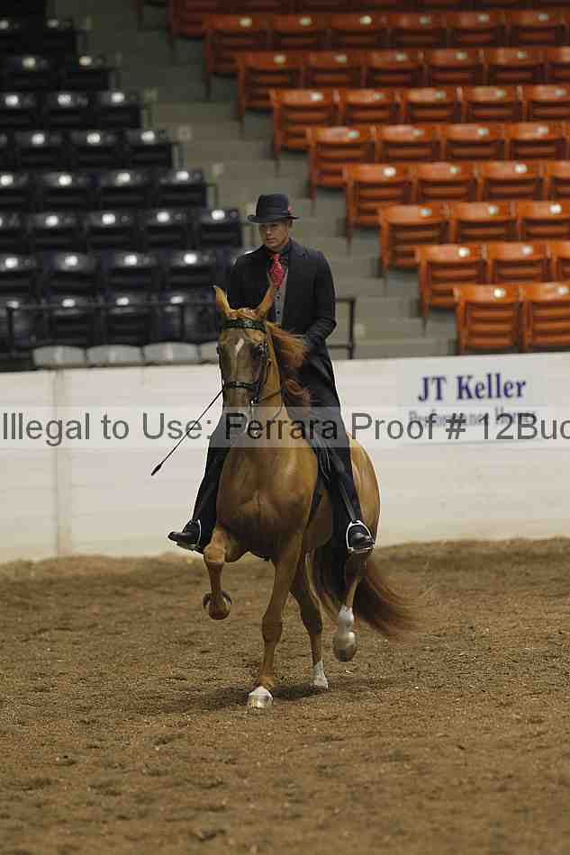 Proof 12buck_0295