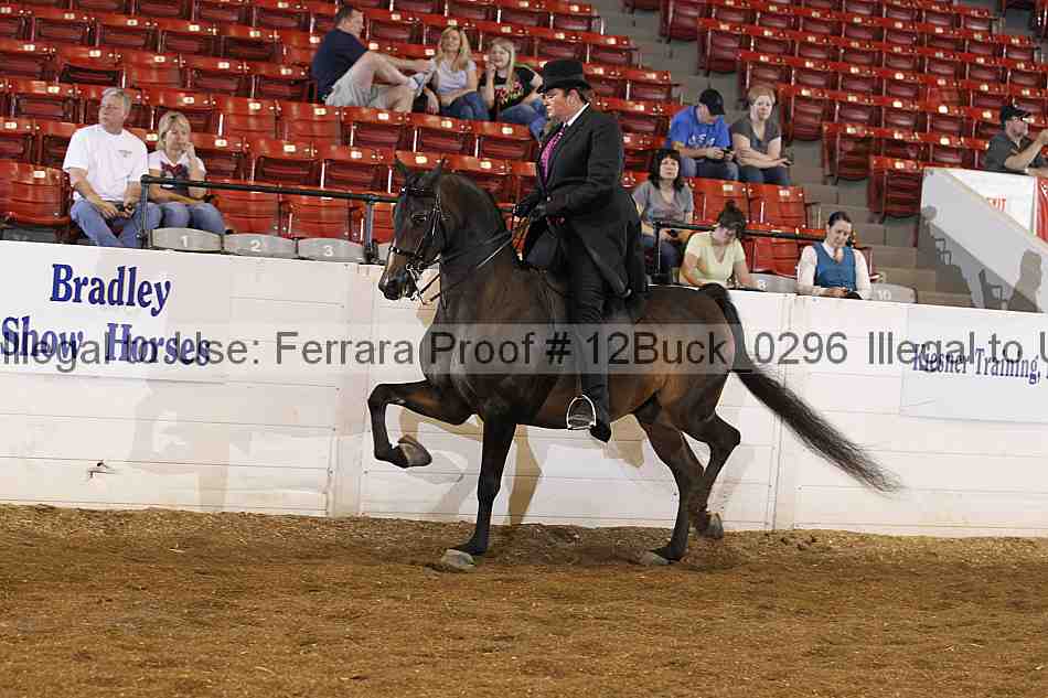Proof 12buck_0296