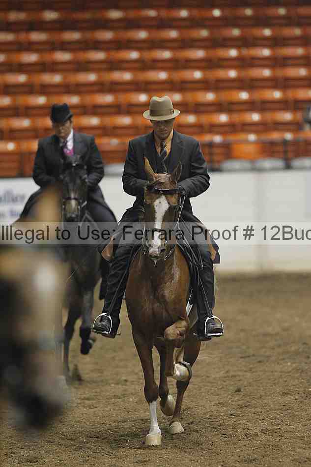 Proof 12buck_0297