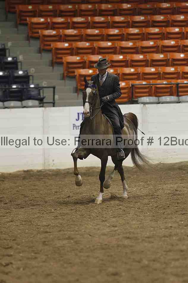 Proof 12buck_0298