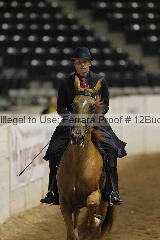Proof 12buck_0303