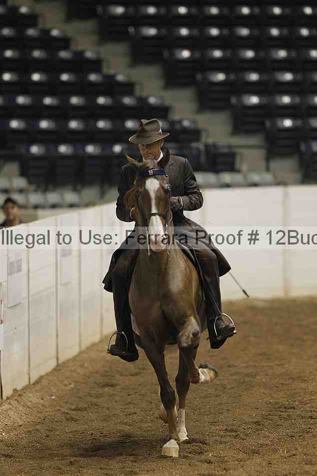 Proof 12buck_0304