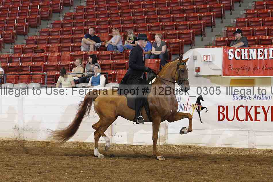 Proof 12buck_0305