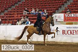 12buck_0305 proof