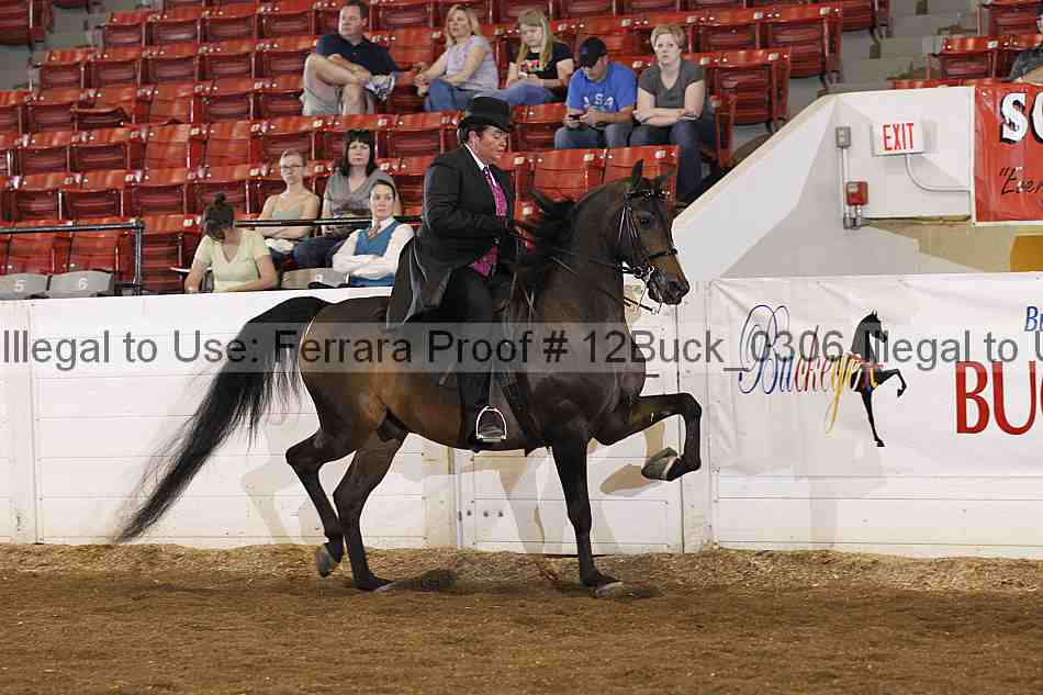 Proof 12buck_0306