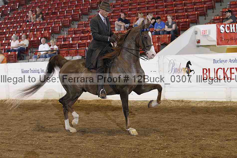 Proof 12buck_0307