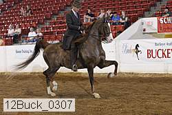 12buck_0307 proof