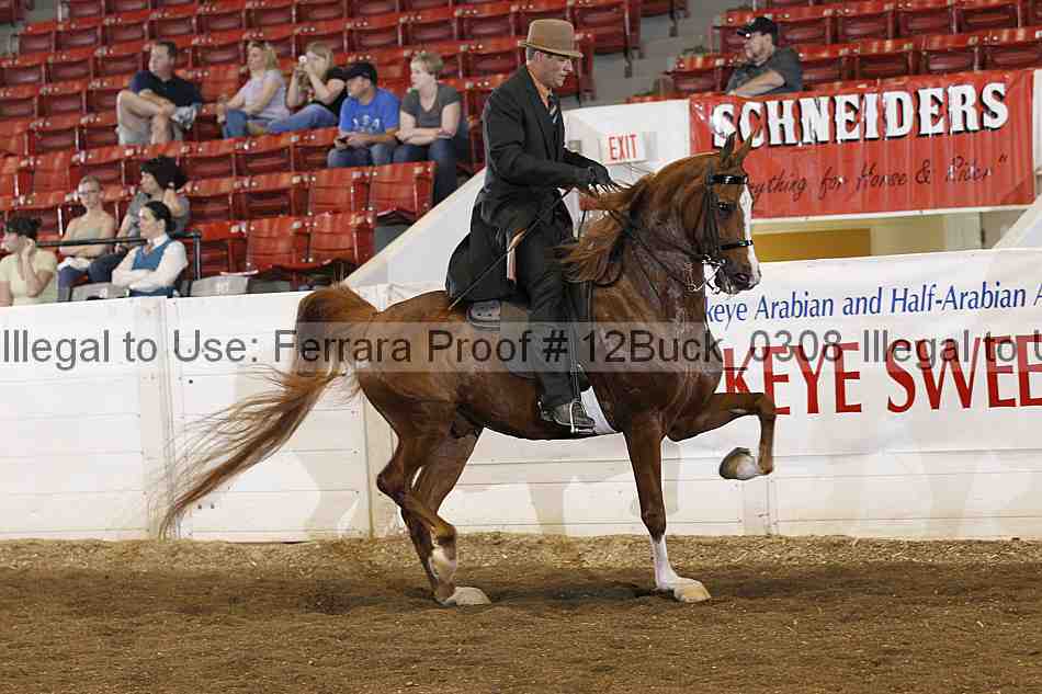 Proof 12buck_0308