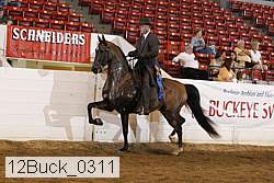 12buck_0311 proof