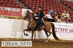 12buck_0313 proof
