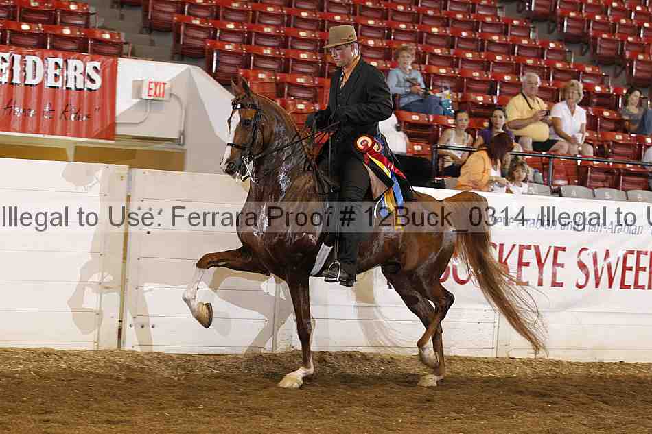 Proof 12buck_0314