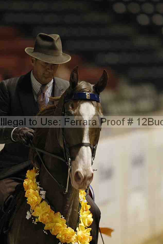 Proof 12buck_0315