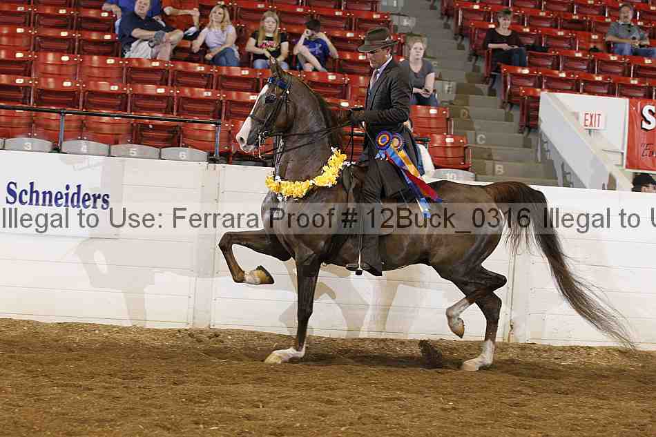 Proof 12buck_0316