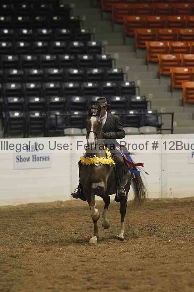 Proof 12buck_0318