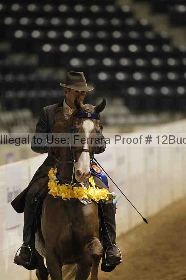 Proof 12buck_0319